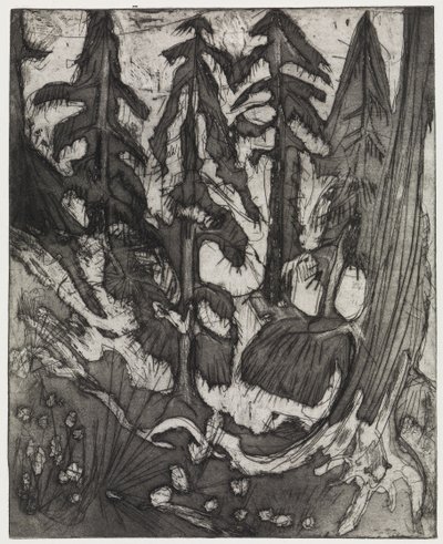 Mountain Forest by Ernst Ludwig Kirchner