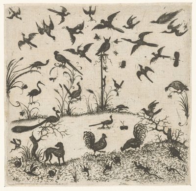 Birds (Schweifwerk Ornaments for Silversmiths) (series title) by Esaias van Hulsen