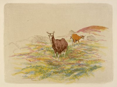 Goats in a Field by Esther Blaikie MacKinnon