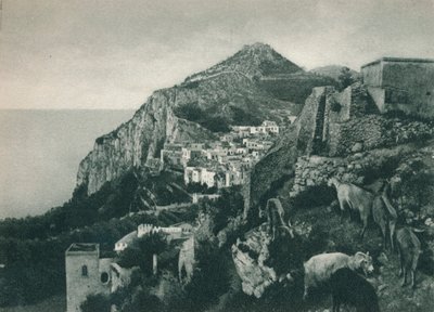 View of the Sea with Monte Solaro, Capri, Italy by Eugen Poppel