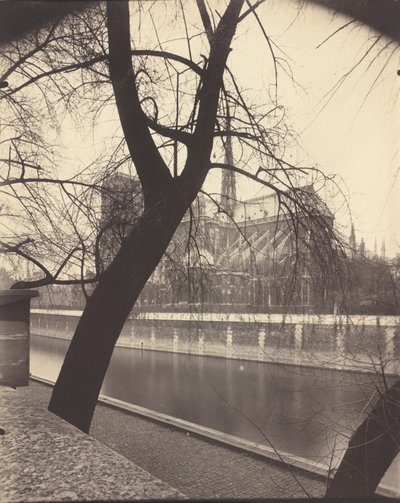 Notre-Dame, 1922 by Eugène Atget