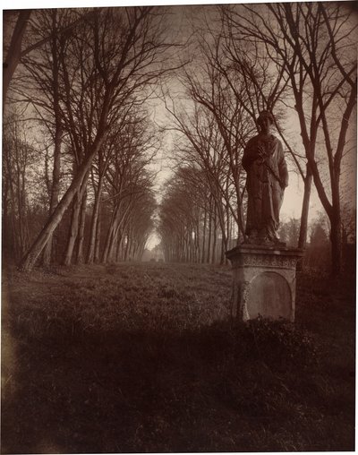 Parc de Sceaux, 1925 by Eugène Atget