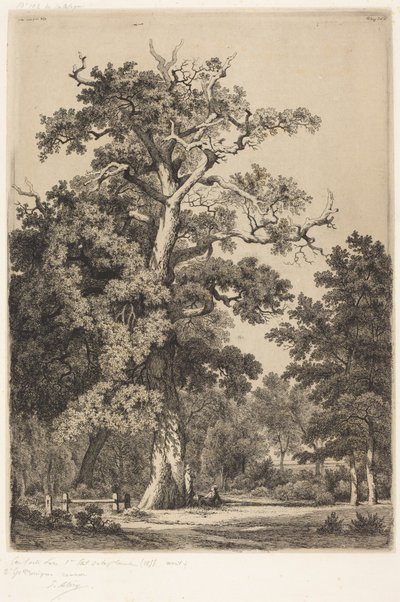 Ancient Oak in the Bois de Boulogne by Eugene Bléry