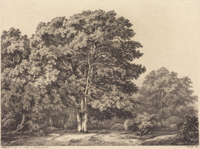 Entrance to a Forest by Eugene Bléry