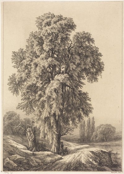 The Elm Tree by Eugene Bléry