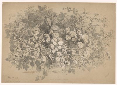 Blackberries and Other Plants by Eugene Bléry