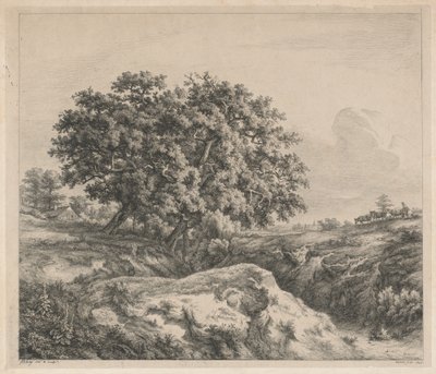 The Oak Tree by a Ravine by Eugene Bléry