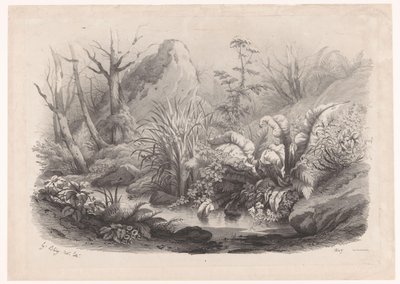 Riverside Plants by a Stream (series title: Various Plants) by Eugene Bléry
