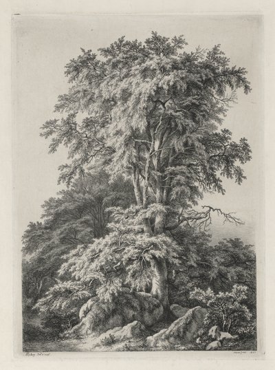 Studies Drawn and Engraved after Nature: The Beach, Fontainbleau by Eugene Bléry