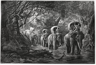 On the way into the forest, the expedition travels on the back of an elephant. Engraving by Eugene Burnand, to illustrate the story Journey in Upper Laos, in 1880, by Dr. P.Neis. Published in Le Tour du monde, nouveau journal des voyages, 2nd semester 1880 by Eugene Burnand