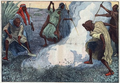 The destruction of grasshoppers in Algeria: the Arabs burn them amid cries and imprecations. Illustration of Damblans. In “Le Pelerin” of July 4 by Eugene Damblans