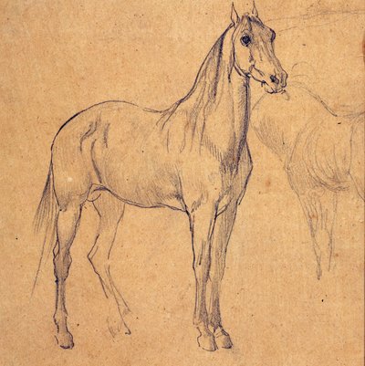 Study of a Horse by Eugène Fromentin
