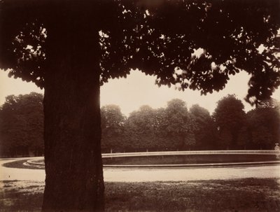 Saint-Cloud by Eugène Atget