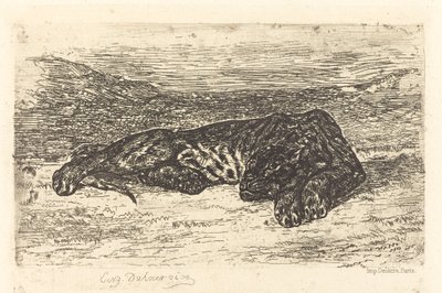 Tiger Sleeping in the Desert by Eugène Delacroix