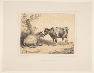 Two Cows by Eugène Verboeckhoven