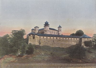 Bendzinie Castle by European Photographer