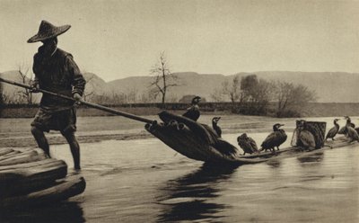 China, fishing by cormorants by European Photographer