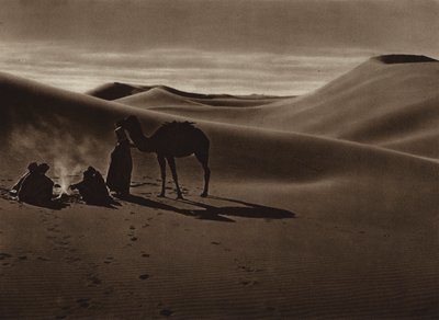 Evening in the desert by European Photographer
