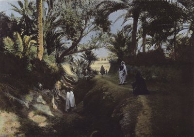Interior of the Oasis by European Photographer