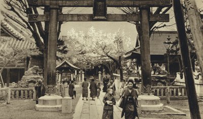 Japan, Street in Tokyo, time of cherry blossom by European Photographer
