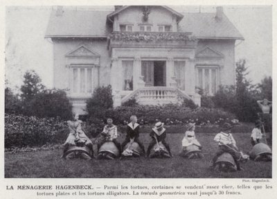 The Hagenbeck Menagerie by European Photographer