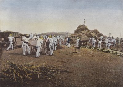 The Condemned at Work, Noumea by European Photographer