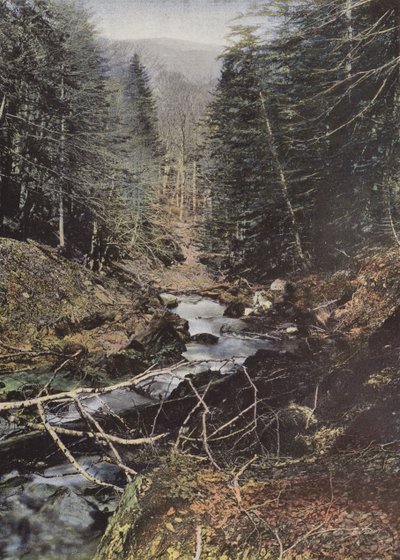 Luchon, Upper Valley of the Pique by European Photographer