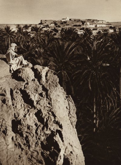 Nefta Oasis by European Photographer