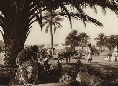 Touggourt Oasis by European Photographer