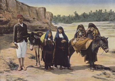 Types of Menzel by European Photographer