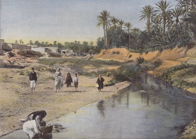 View of the Banks of the Oued-Gabes by European Photographer
