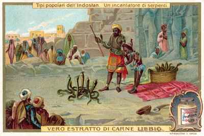 A snake charmer by European School