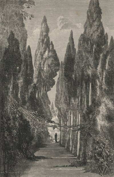 Avenue of the Generalife (engraving) by European School