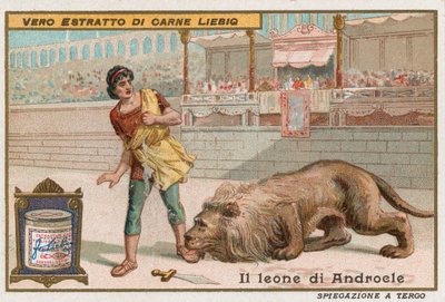 Androcles and the Lion by European School