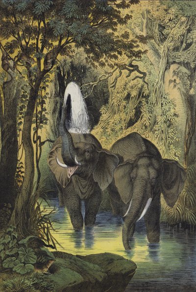 Animals of the marshy forests of the Sudan by European School