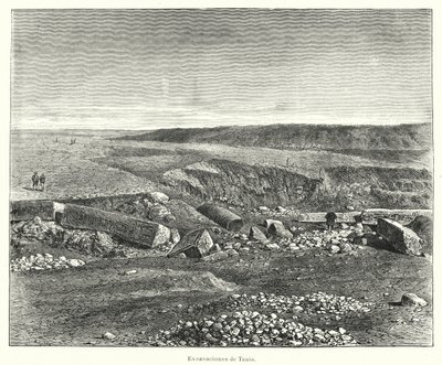 Archaeological excavations of the Ancient Egyptian city of Tanis by European School