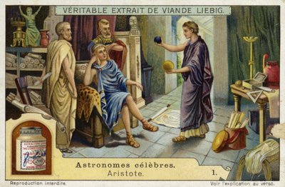 Aristotle, Ancient Greek philosopher and scientist by European School