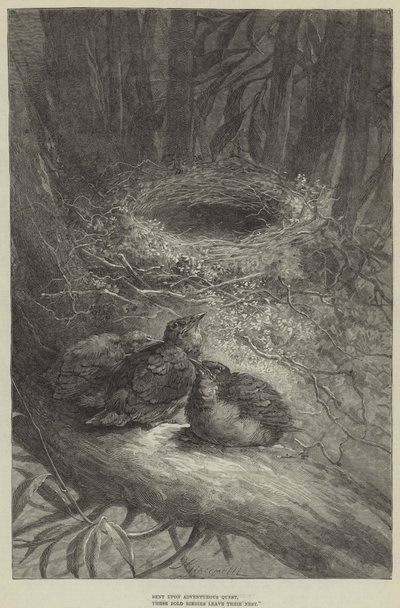 Bent upon Adventurous Quest, these Bold Birdies leave their Nest (engraving) by European School