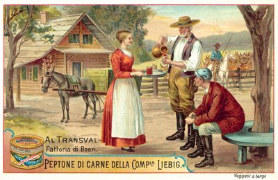 Boer Farm in the Transvaal by European School