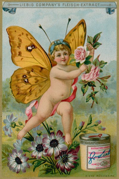 Butterfly Cherub with Daisies by European School