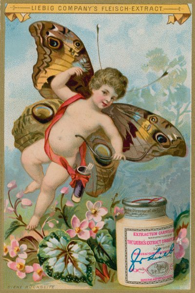 Butterfly Cherub with Pink Flowers by European School