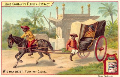 Carriage in the Yucatan by European School