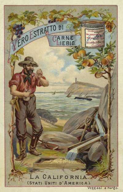 California by European School