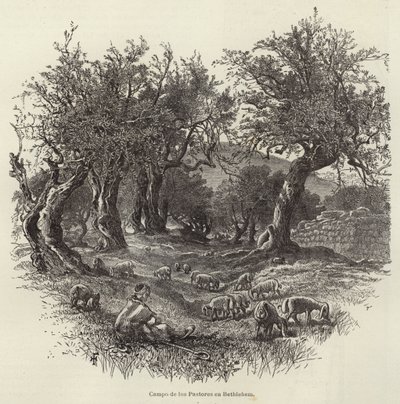 Field of the Shepherds in Bethlehem by European School