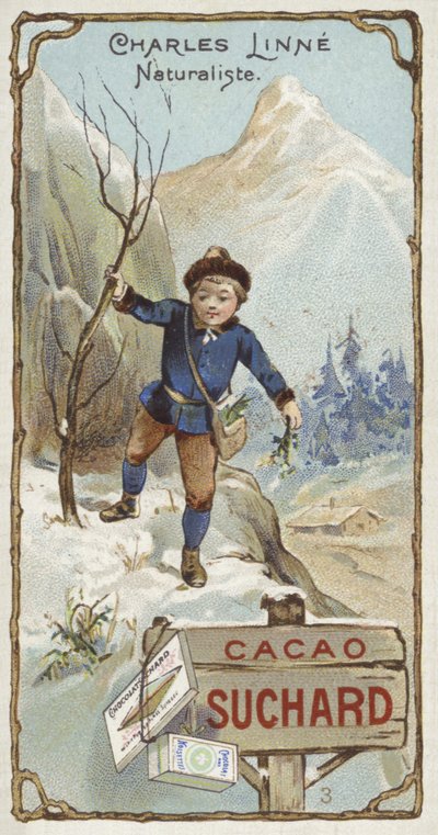 Carl Linnaeus, Swedish botanist and zoologist, as a child by European School