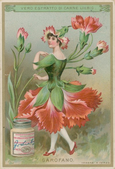 Carnation Flower Girl by European School