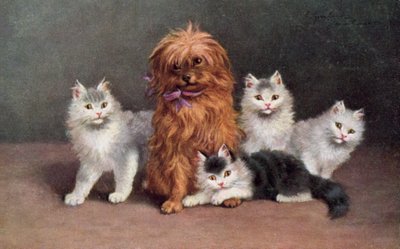 Cat Postcard by European School