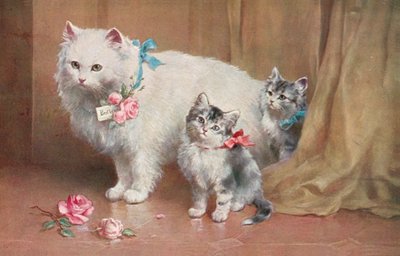 Cat Postcard by European School
