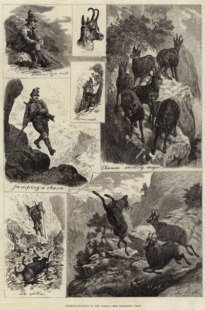 Chamois-Hunting in the Tyrol by European School