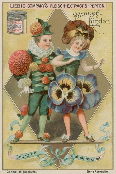 Dahlia and Pansy by European School